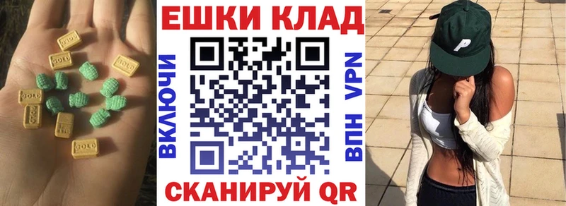 ЭКСТАЗИ Philipp Plein ссылка на мегу как зайти Катайск