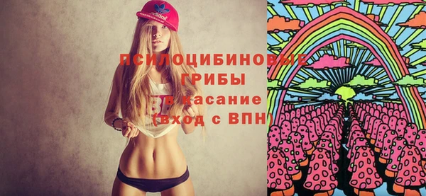 индика Пересвет