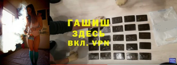 индика Пересвет