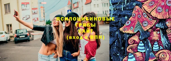 стафф Покровск