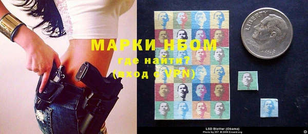 индика Пересвет