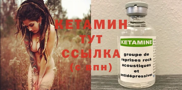 индика Пересвет