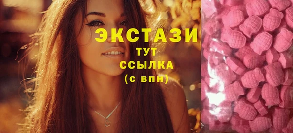 индика Пересвет