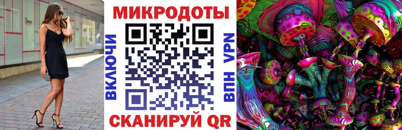Псилоцибиновые грибы мицелий  блэк спрут вход  Катайск  купить наркоту 